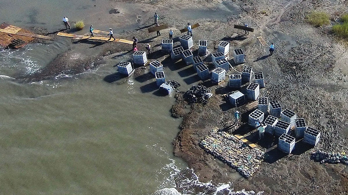 Engineering the Coast