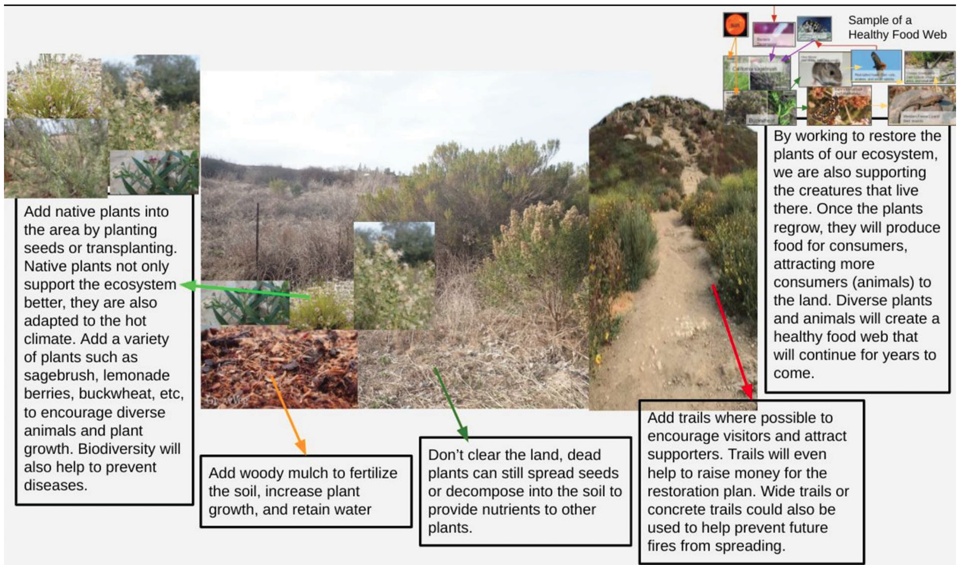 Example of students’ restoration plans (see final infographic at https://bit.ly/3Ic0Wu7).