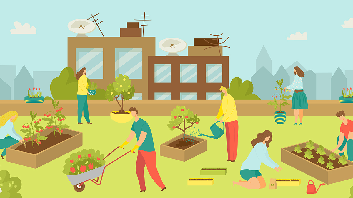 How Does Our Garden Grow?