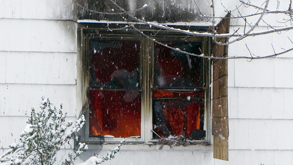 Disaster at the Daisys’