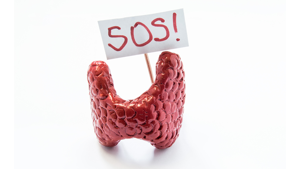 Barbara’s Thyroid