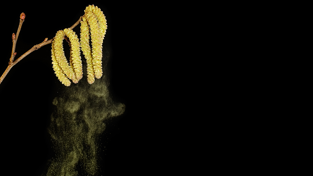 Oral Allergy Syndrome