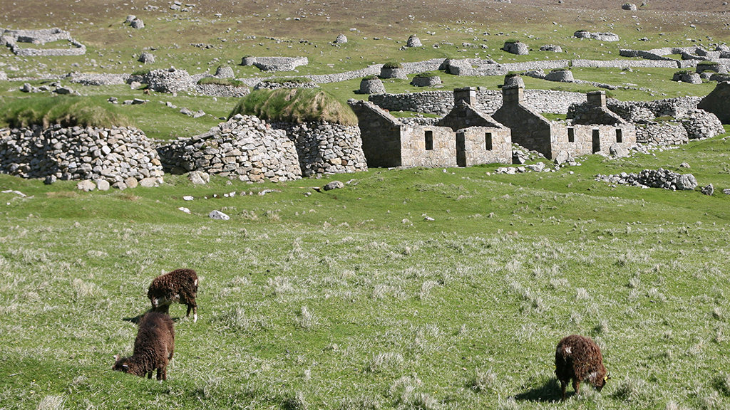 Coping with Infection