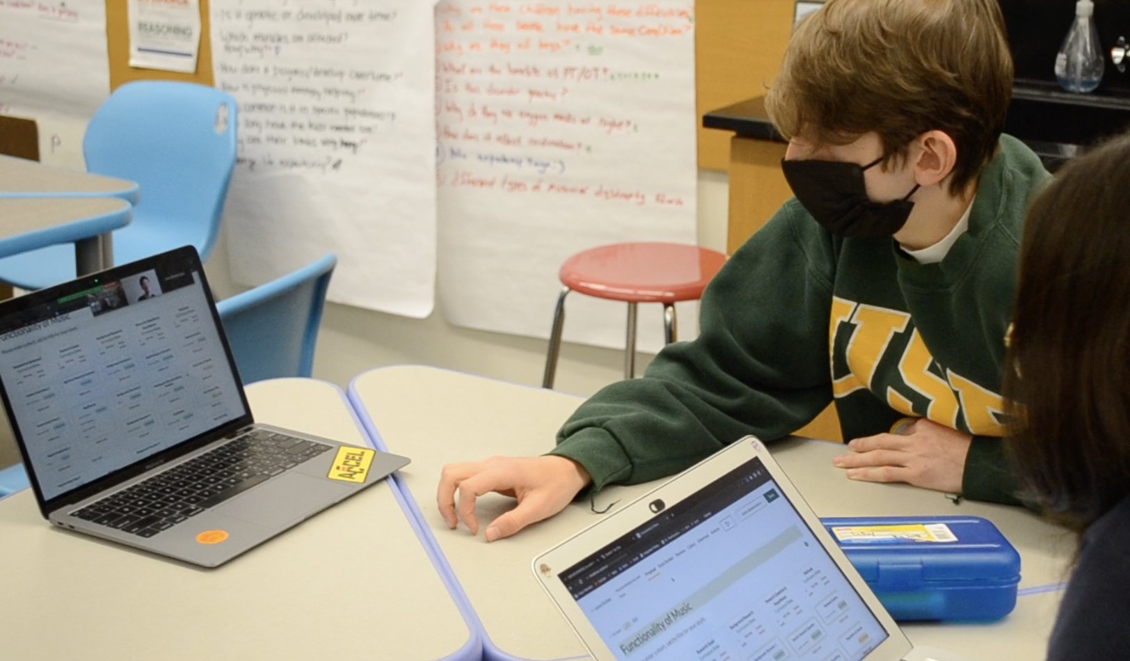 MindHive: An Online Citizen Science Tool and Curriculum for Human Brain and Behavior Research