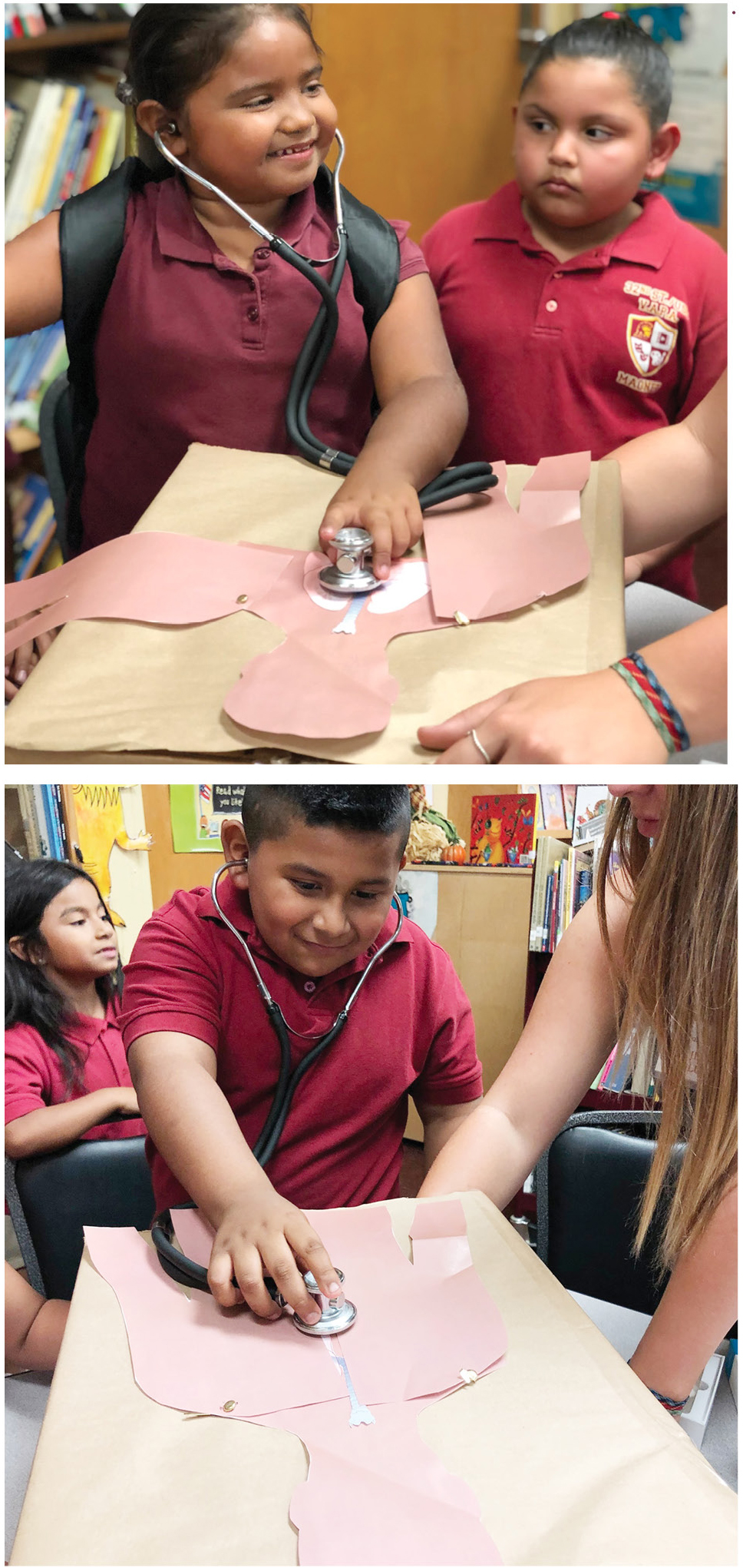 Students interact with the lung sound model.