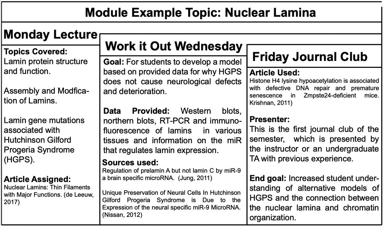 Biology-specific example of a weekly module structure for building critical-thinking skills in STEM.