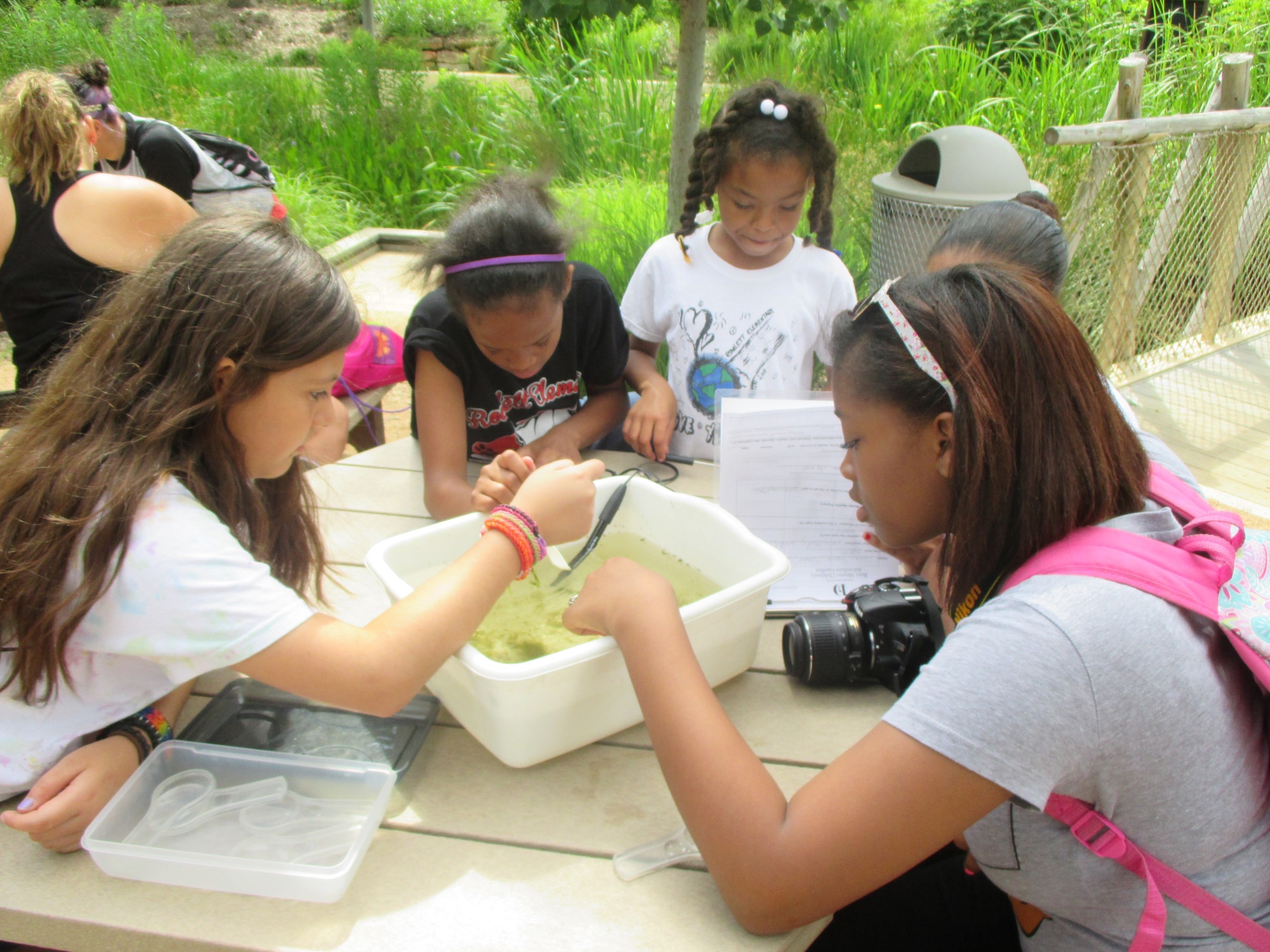 Guests participate in a wetlands investigation. 