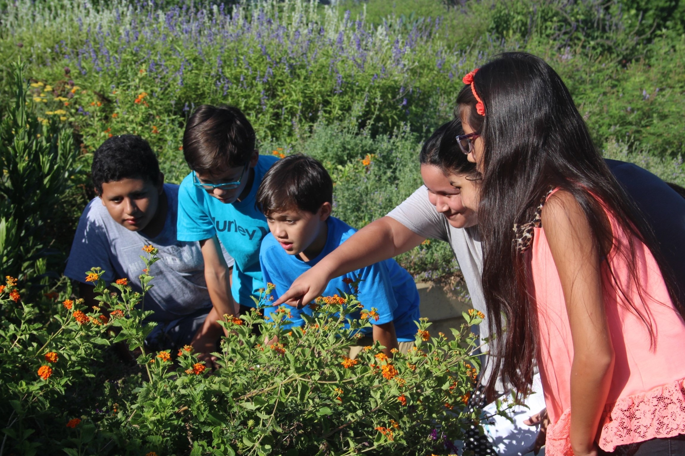 Guests look for butterflies at the Monarch waystation.