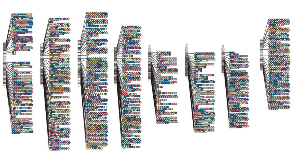 Living in a Genomic World