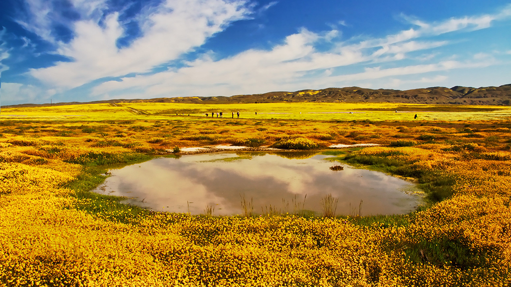 Responding to a Changing Climate