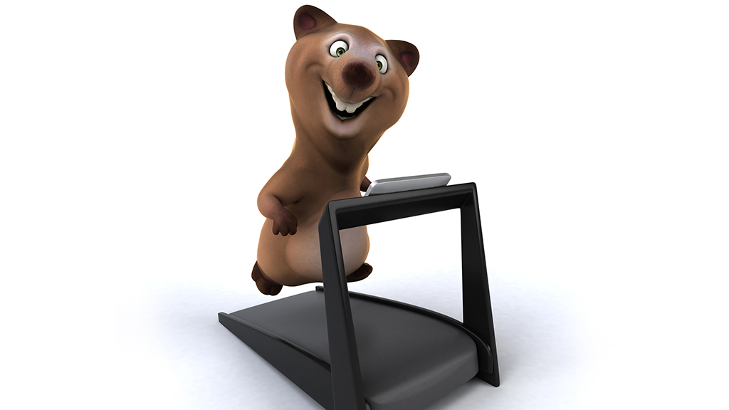 Animals on Treadmills
