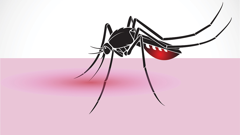 The Path of a Pathogen