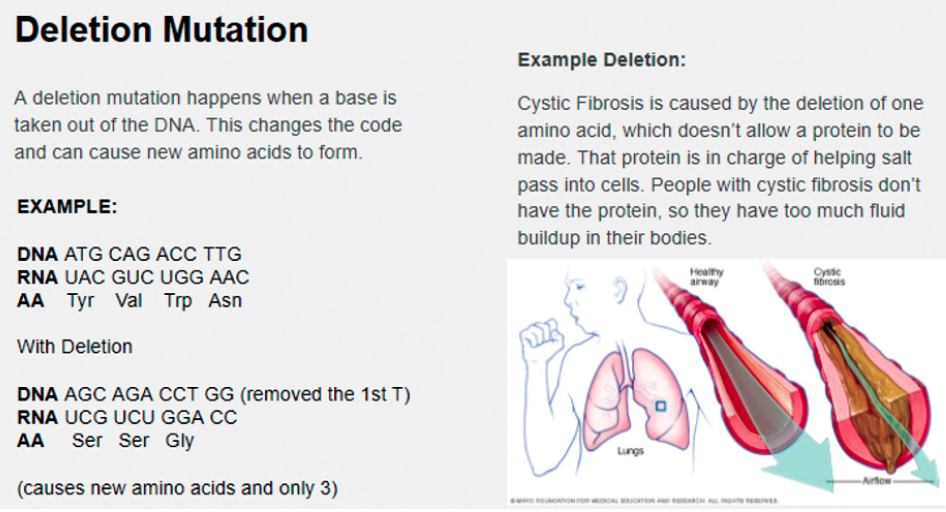 Cystic Fibrosis deletion mutation.