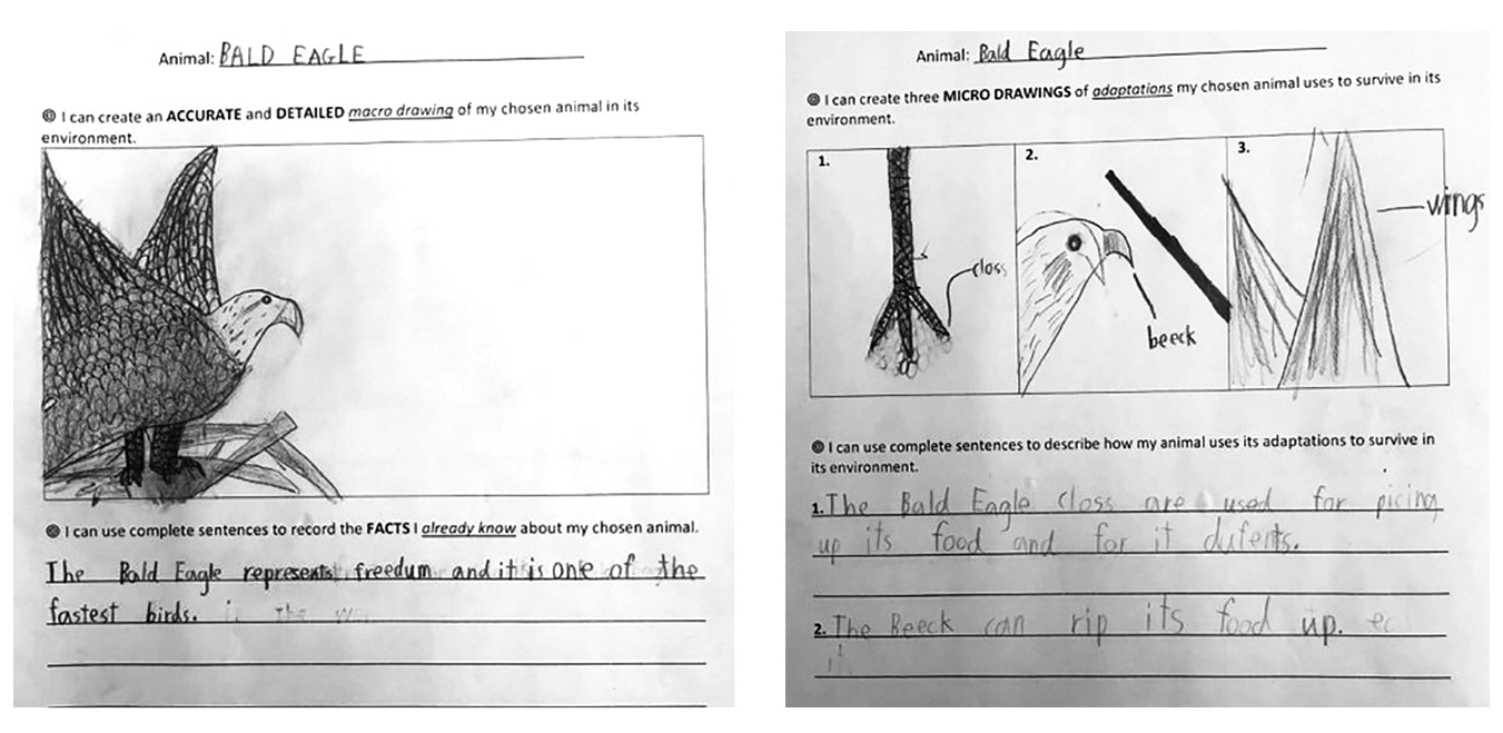 Figure 1 Student animal research “note catchers.”