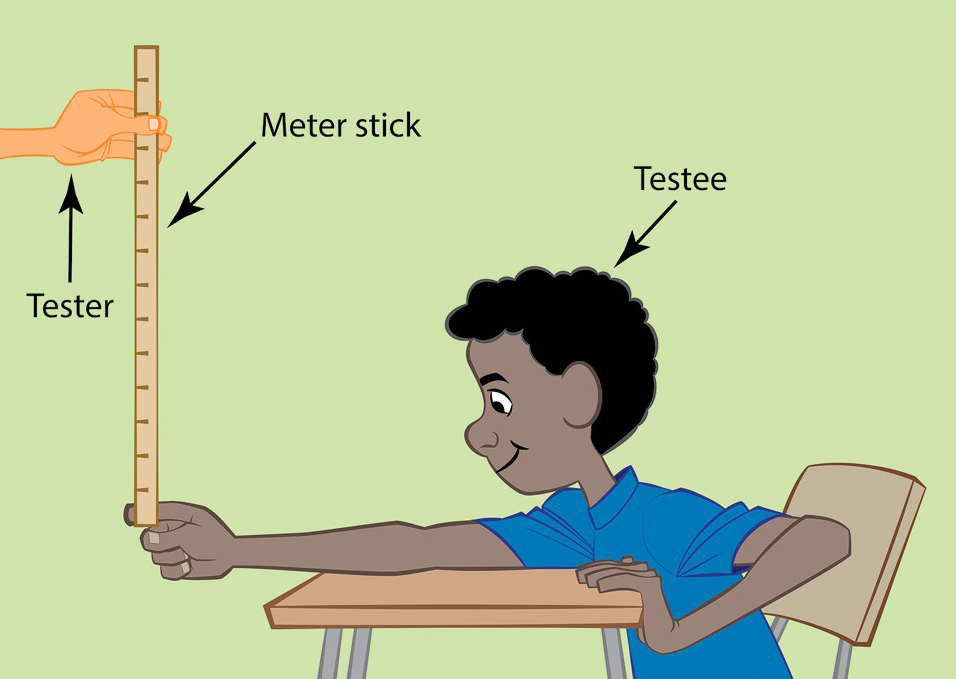 Figure 3 student holds meter stick