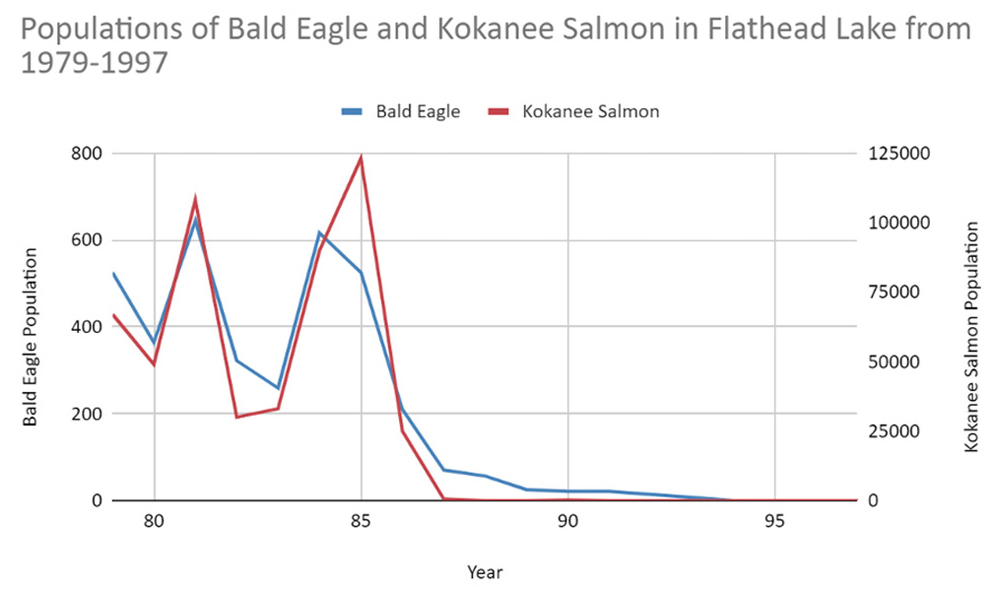 Graph showing bald eagle and Kokanee salmon populations with two axes.