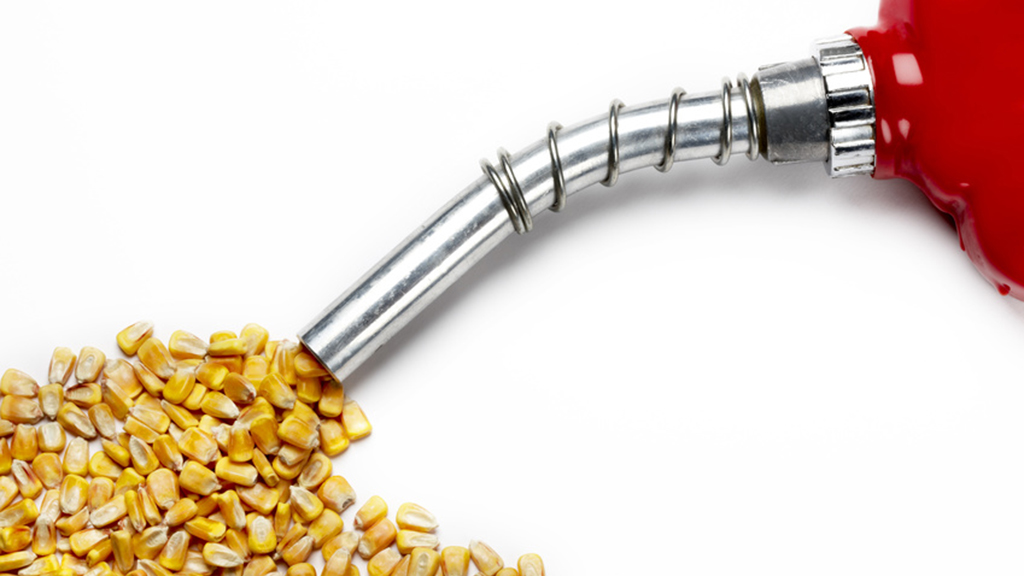 Corn Ethanol Debate
