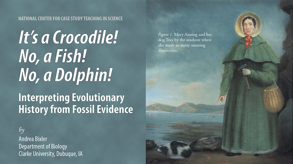 It’s a Crocodile! No, a Fish! No, a Dolphin!