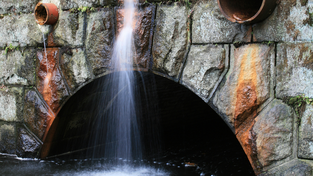 You Poured It Where?