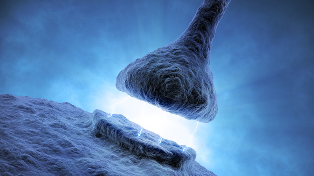 When Jenn Lost Her Nerve