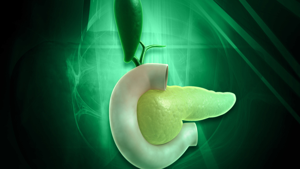 Bioengineering the Pancreas