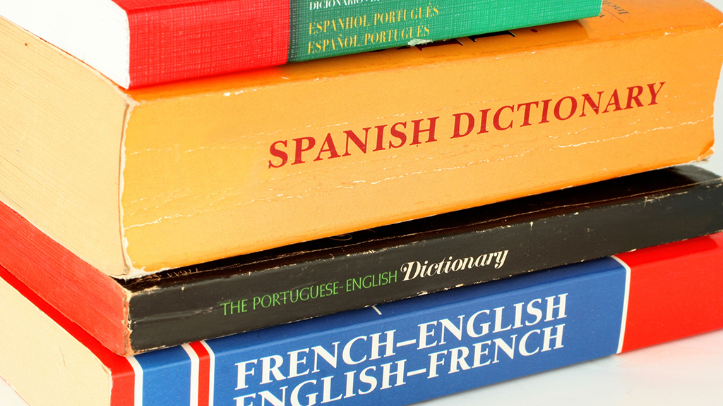 It may be dictionaries. First Spanish Dictionary.