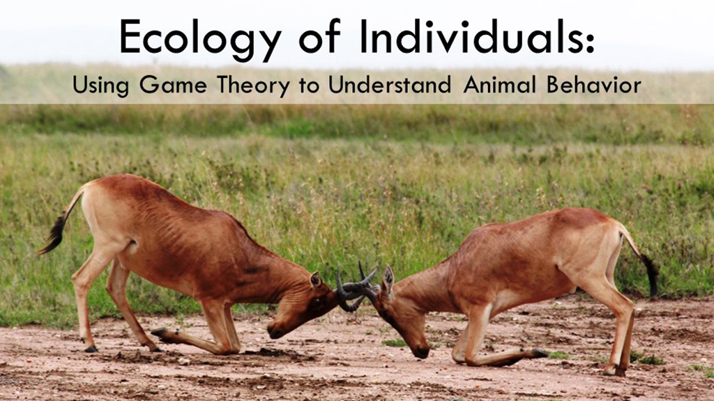 Ecology of Individuals
