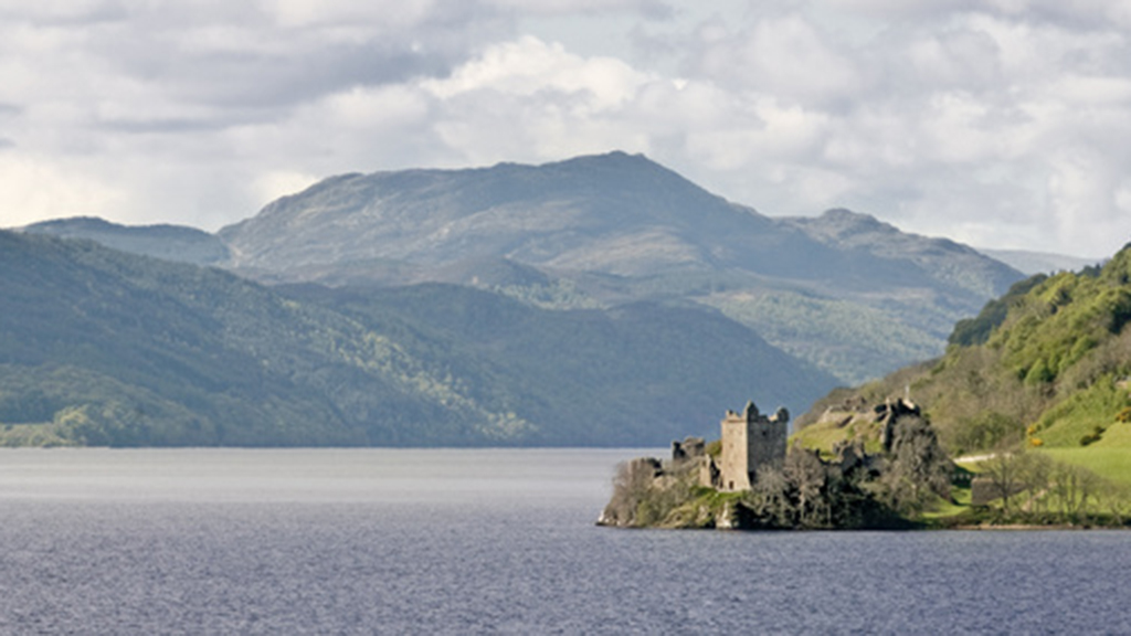 Crazy About Cryptids!