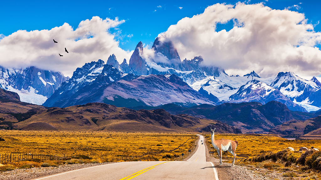 Restoring Resilience