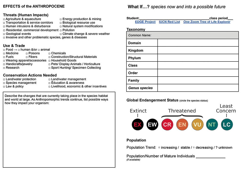 Handout A. What If…? species now and into a possible future is an adaptable graphic organizer. Students research an organism’s natural history and current Anthropogenic challenges using the International Union for Conservation of Nature (IUNC) Red List (2021) and other reliable resources.