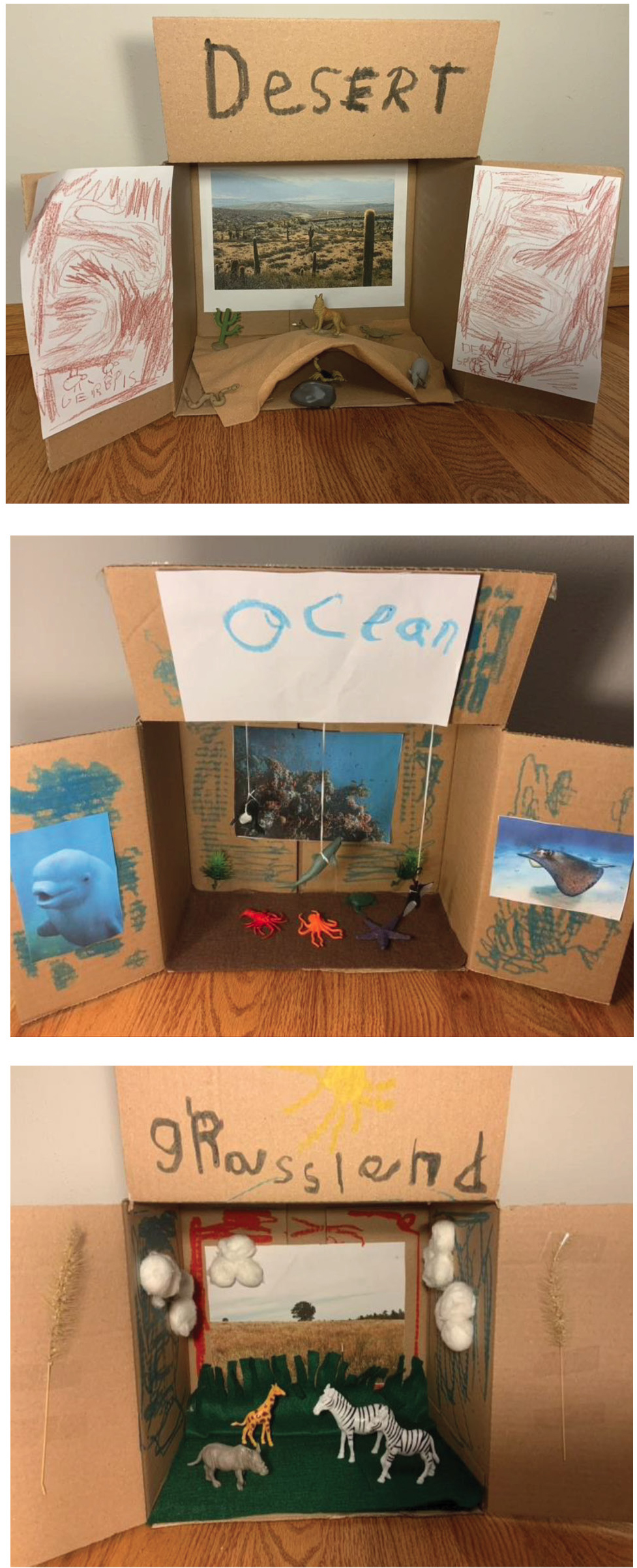 Student dioramas of habitats.