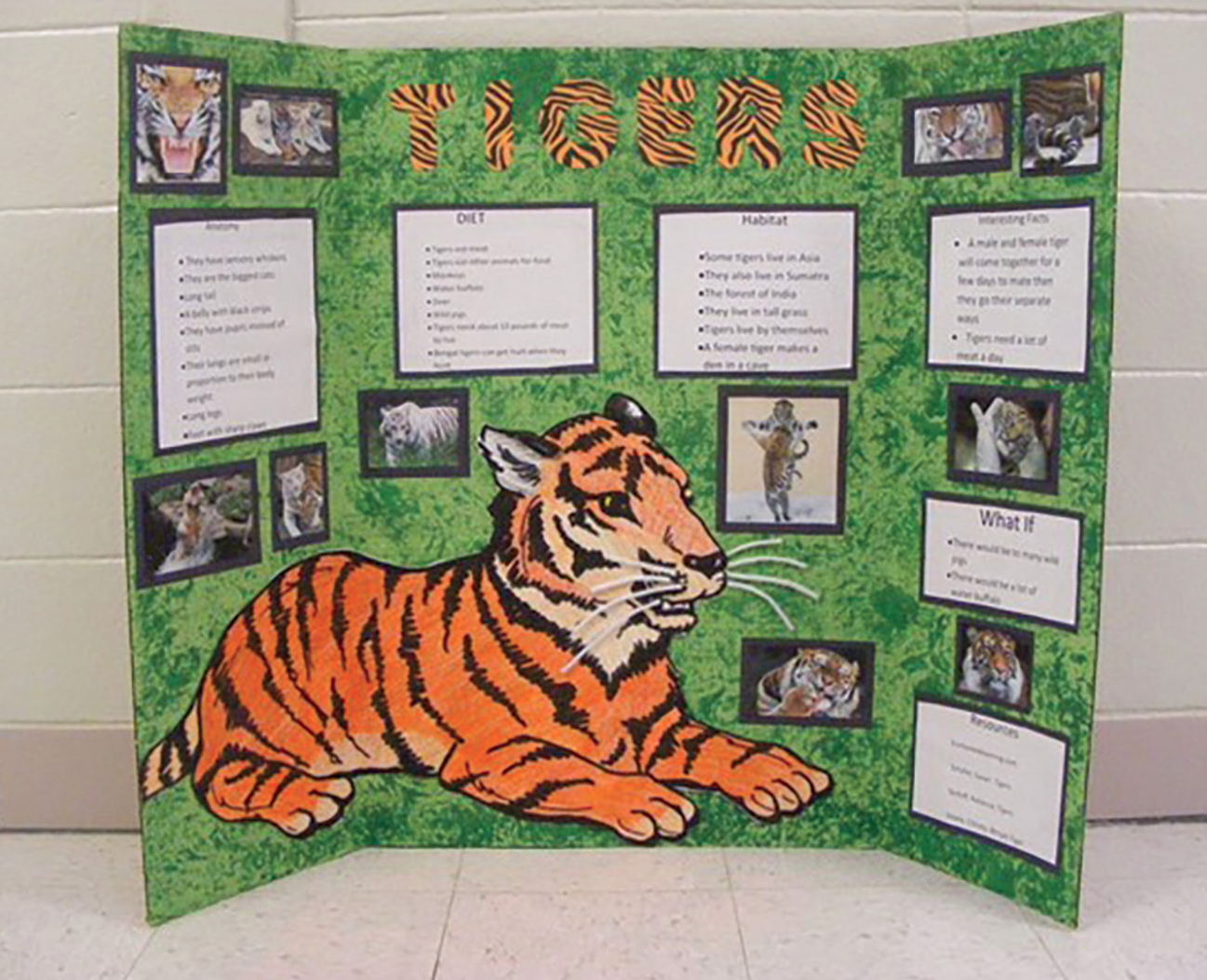 Students created a presentation board with their parents for the night of oral presentations.