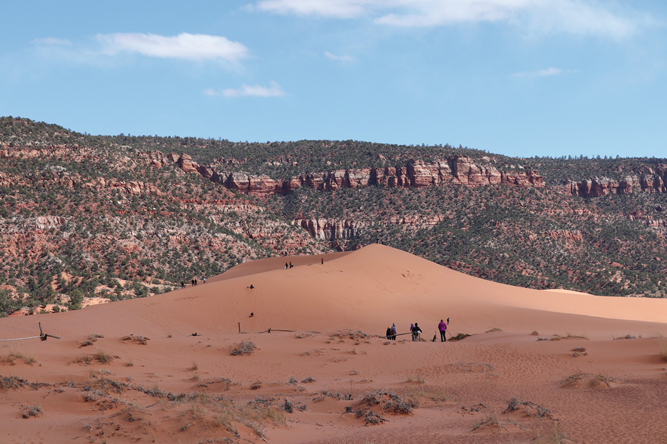 Sand dunes and layered sandstone at Coral Pink Sand Dunes State Park.