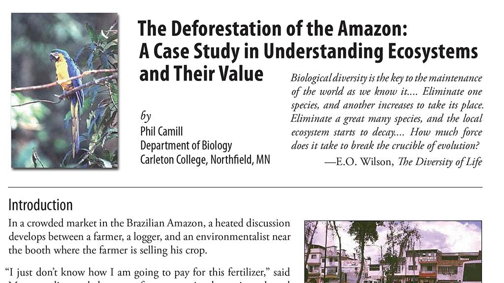 The Deforestation of the Amazon