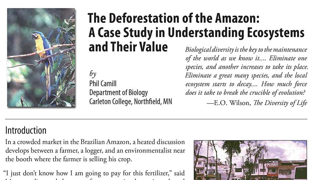 amazon deforestation case study The Deforestation of the Amazon