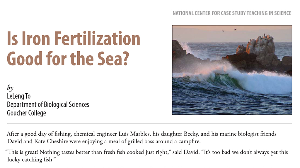 Is Iron Fertilization Good for the Sea?