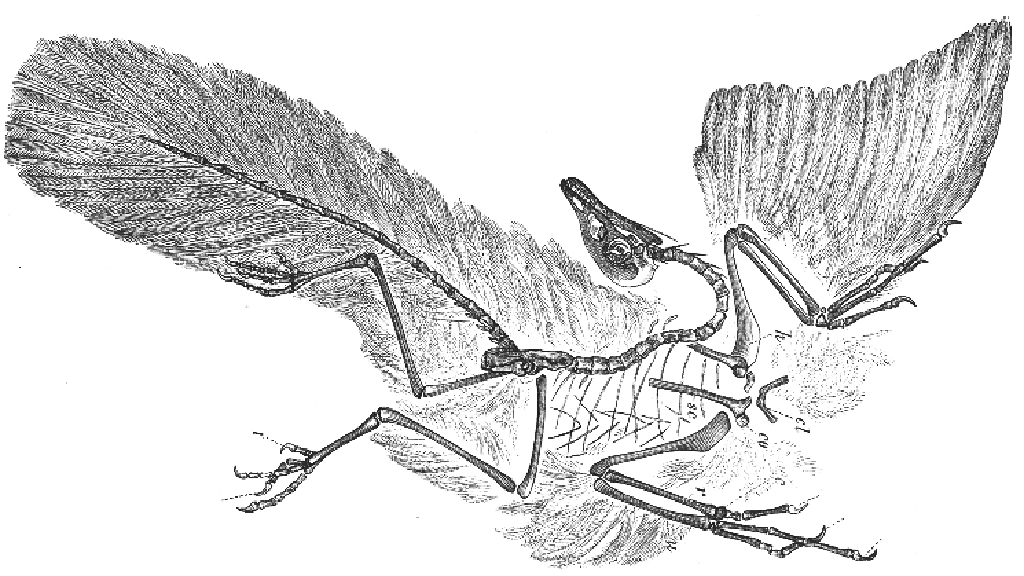 Seven Skeletons and a Mystery