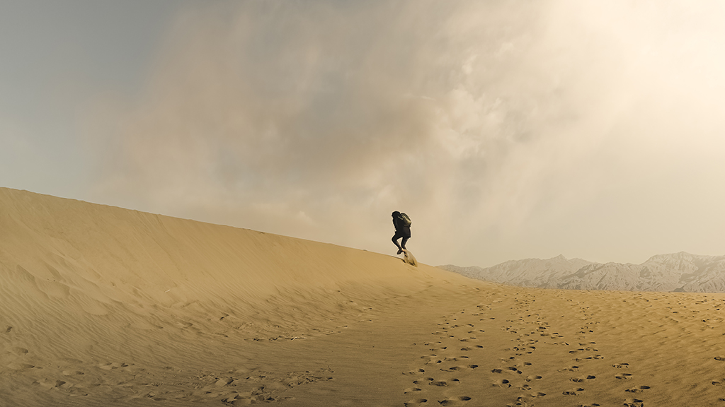 lost in the desert case study