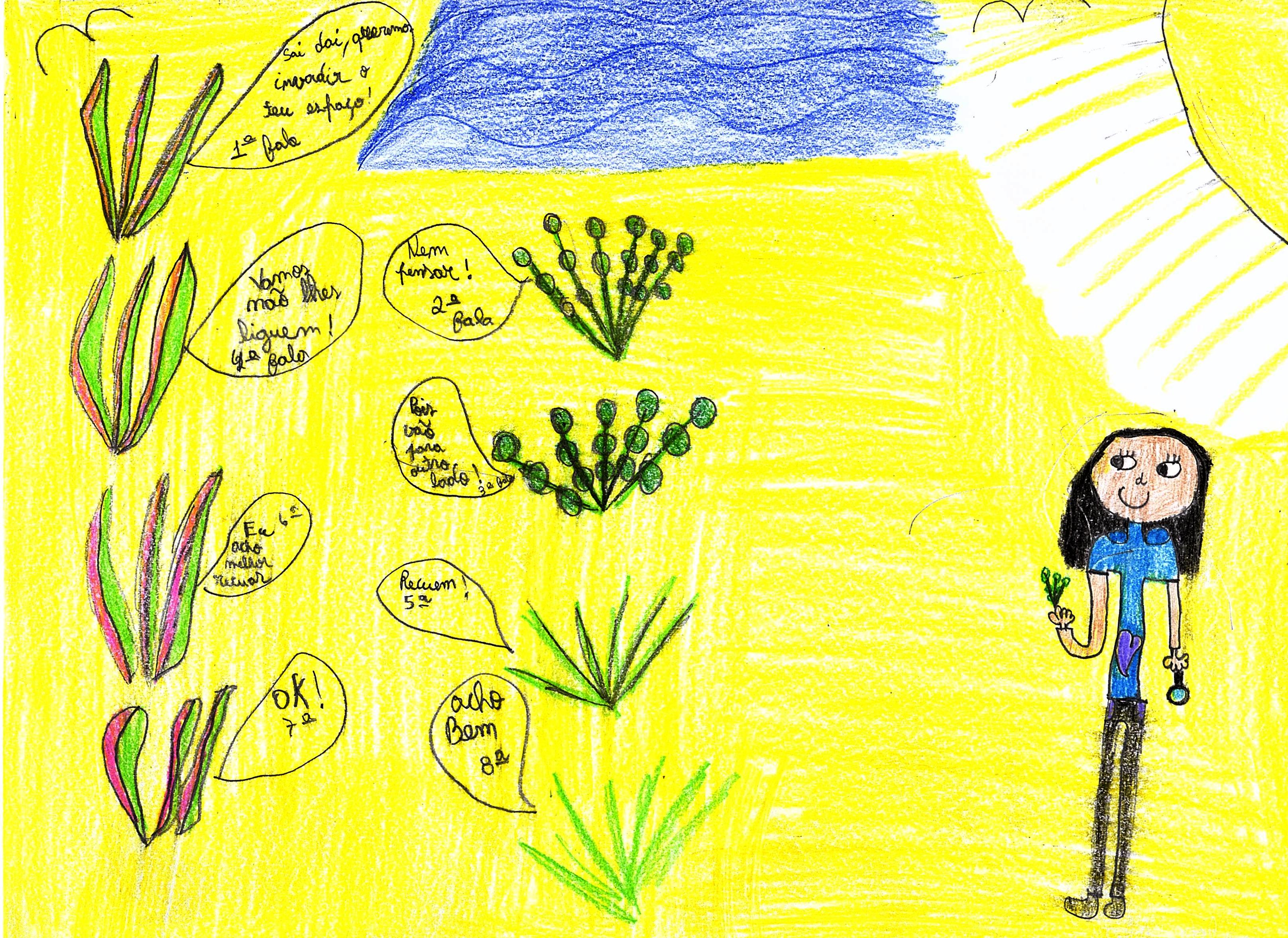 Student drawing about dune plants