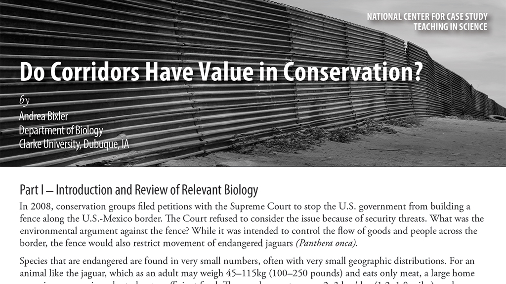 Do Corridors Have Value in Conservation?