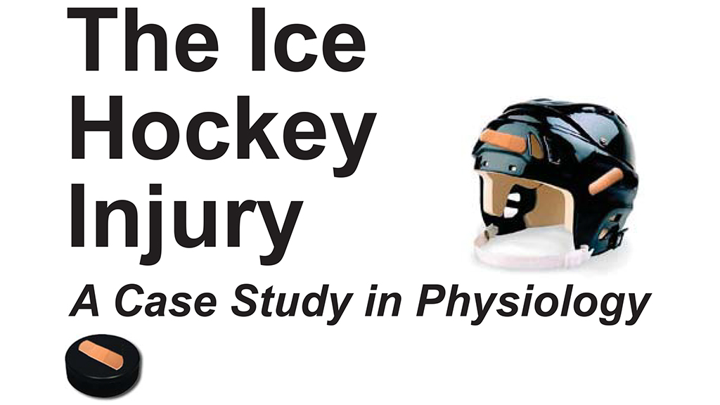 The Ice Hockey Injury
