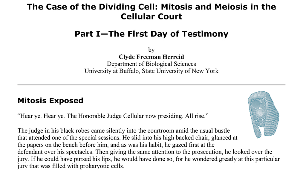 The Case of the Dividing Cell