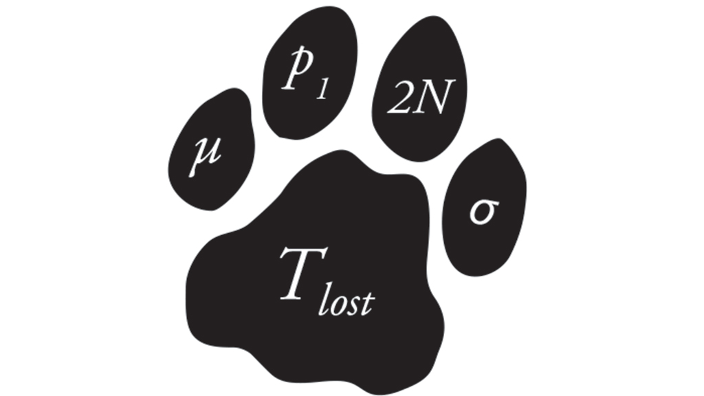 Mathematics in Conservation