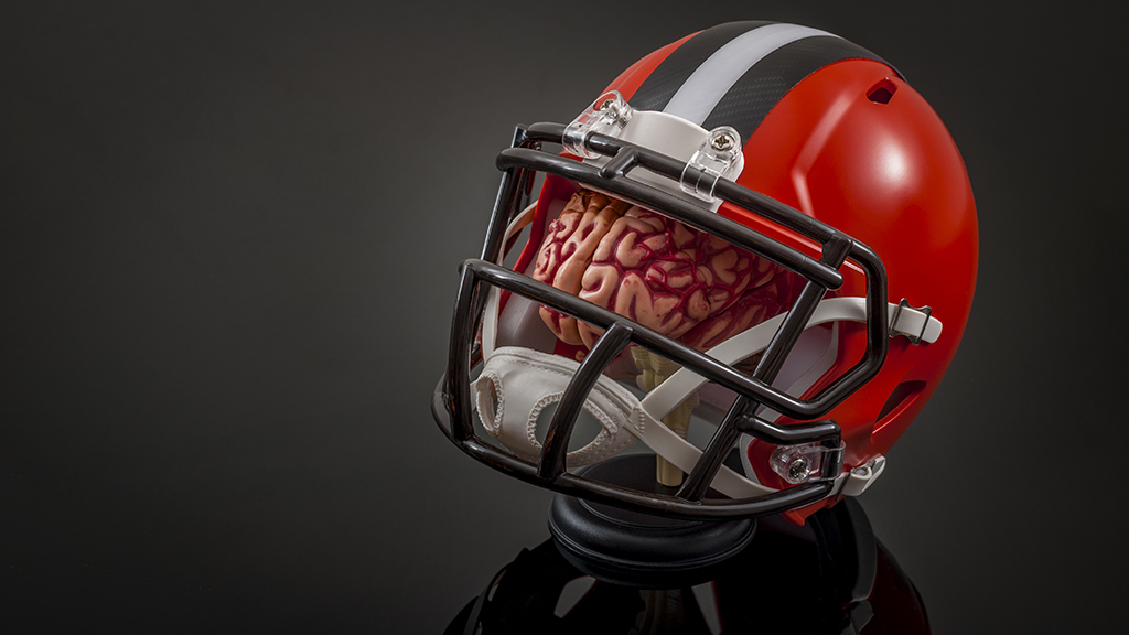 Rough Games and the Brain