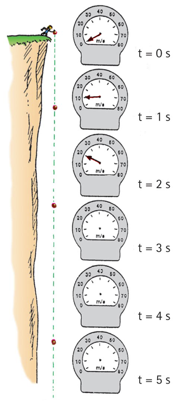 Figure 1. The freely-falling speedometer gains the same amount of speed each second.