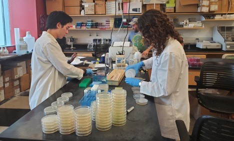 Student with mentor spread plating in the lab to study bacteria 