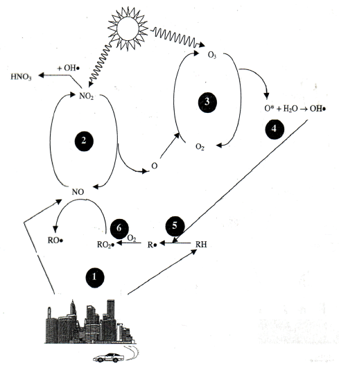 The nitrogen oxides (NOx) to ozone (O3) cycle.