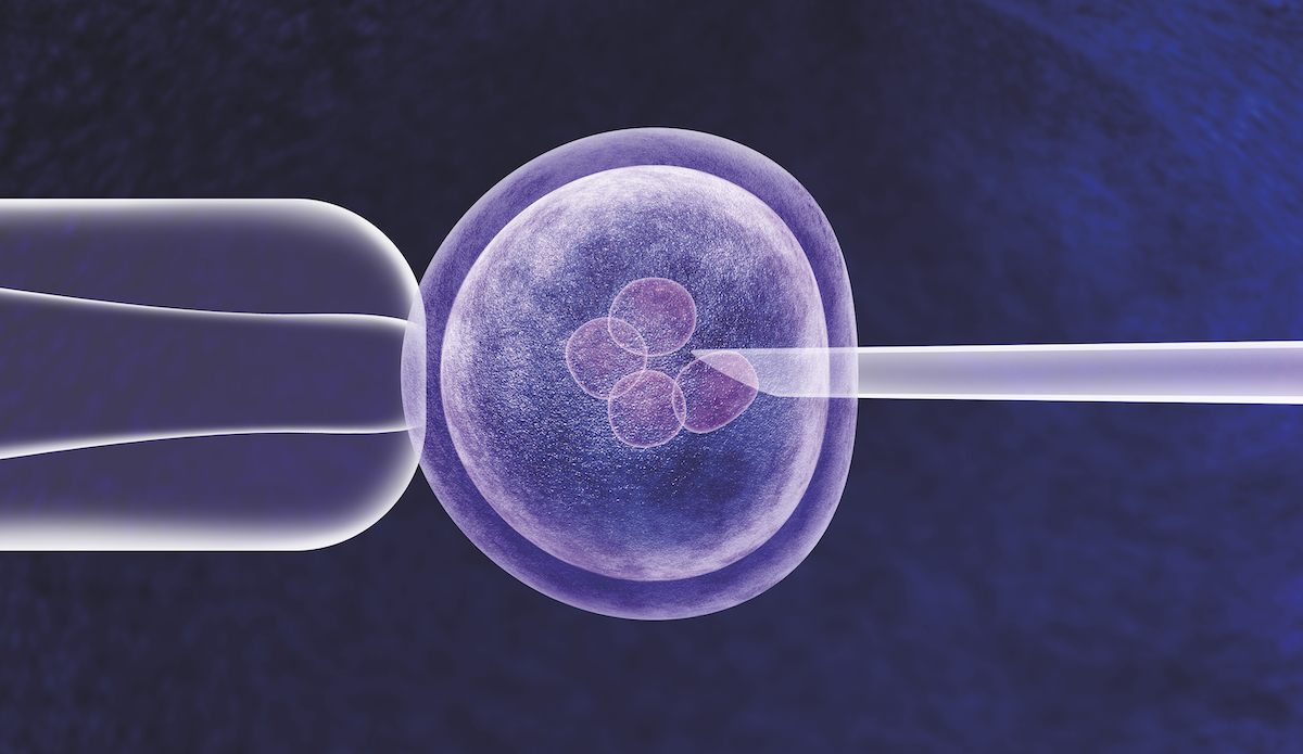 Bringing the Ethical Debate to Life