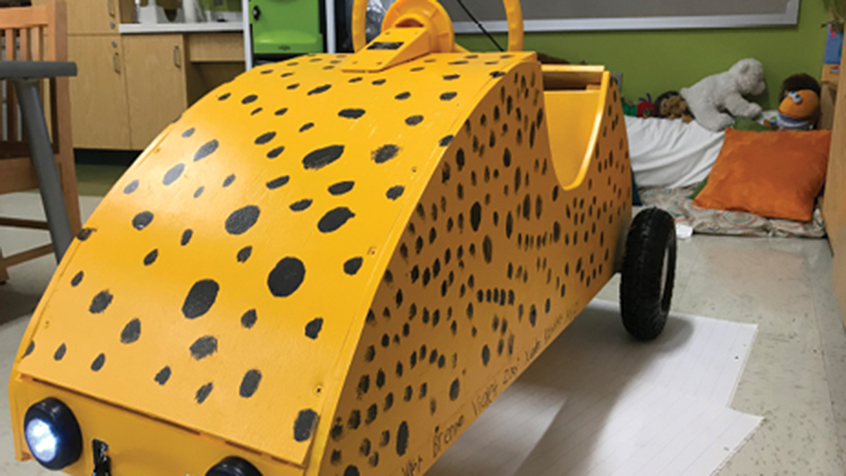 Courageous Cheetah Car