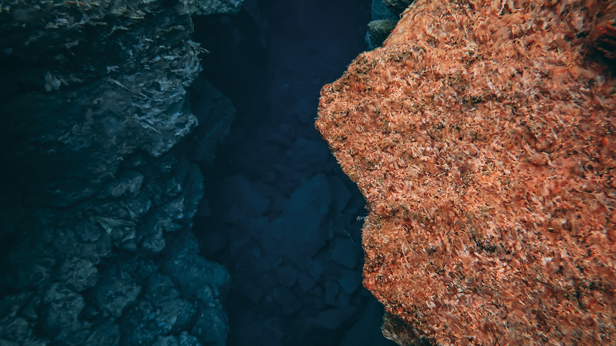 Using Summary Tables to Support Students’ Explanations of Science Phenomena